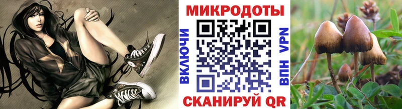Купить  Облучье  Галлюциногенные грибы Cubensis 